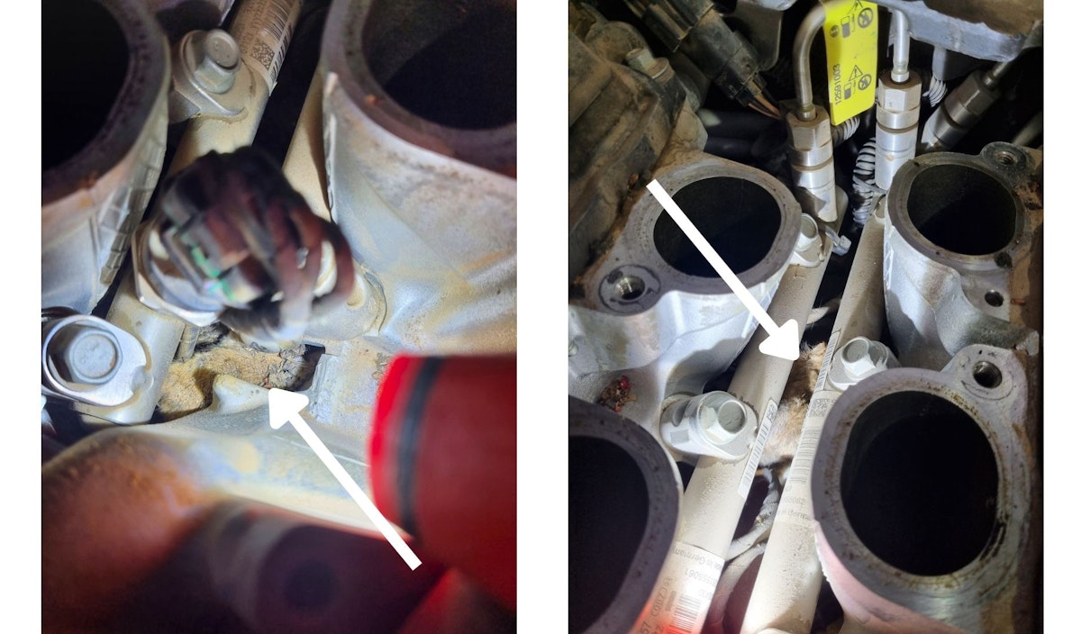 Thumbnail for V6 Engine Misfire Trouble and an Unwelcome Surprise Under the Bonnet